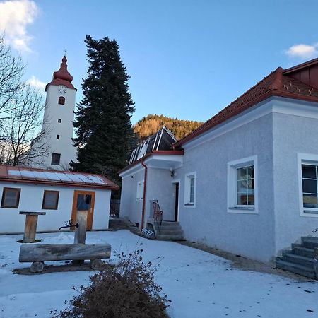 Ferienwohnung Haus Steiner Teufenbach  Exterior foto