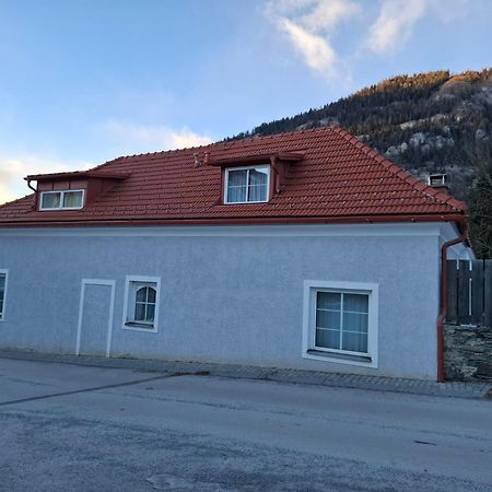 Ferienwohnung Haus Steiner Teufenbach  Exterior foto